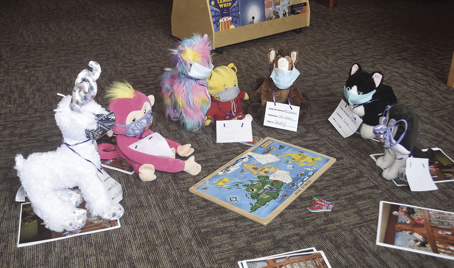 2 18 Library Animals 2